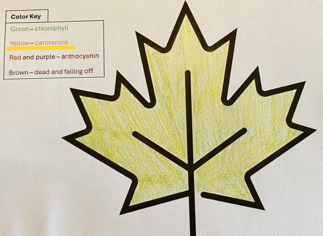 Leaf icon shaded in yellow with a color key with 