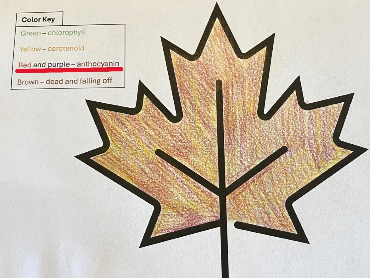 Leaf icon shaded yellow and red with color key with 