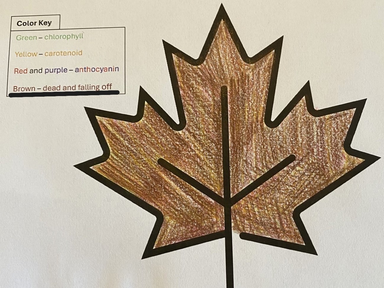 Leaf icon shaded brown with color key with 