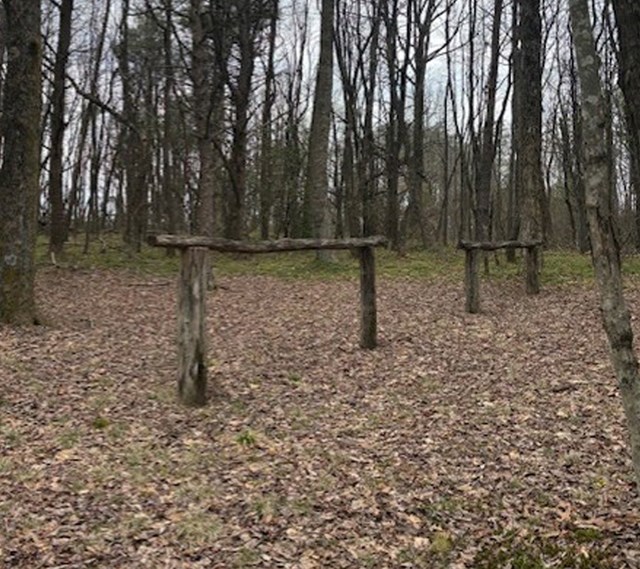 Two wooden horse riding hitching post in the wood. 