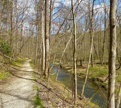 Trail in the woods with a river next to it. 