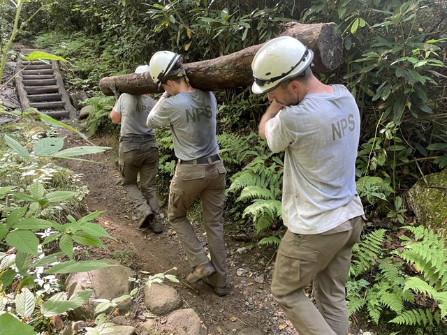 Three people carrying a log on a trail.