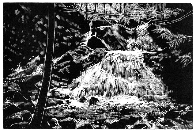 A black and white woodcarving of a forest stream and cascade.