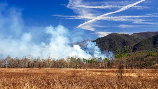 A field with a mountain backdrop and blue skies. In the field is distant trees and smoke coming up.