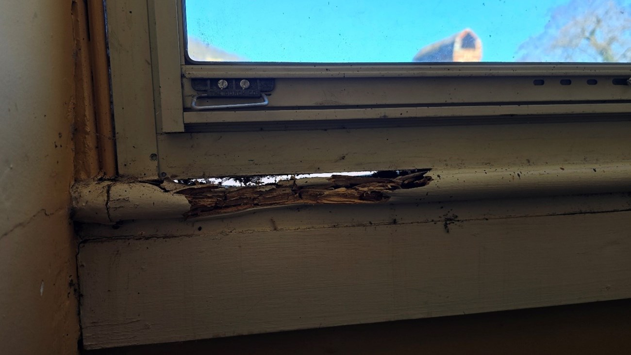 A window with a rotten sill.