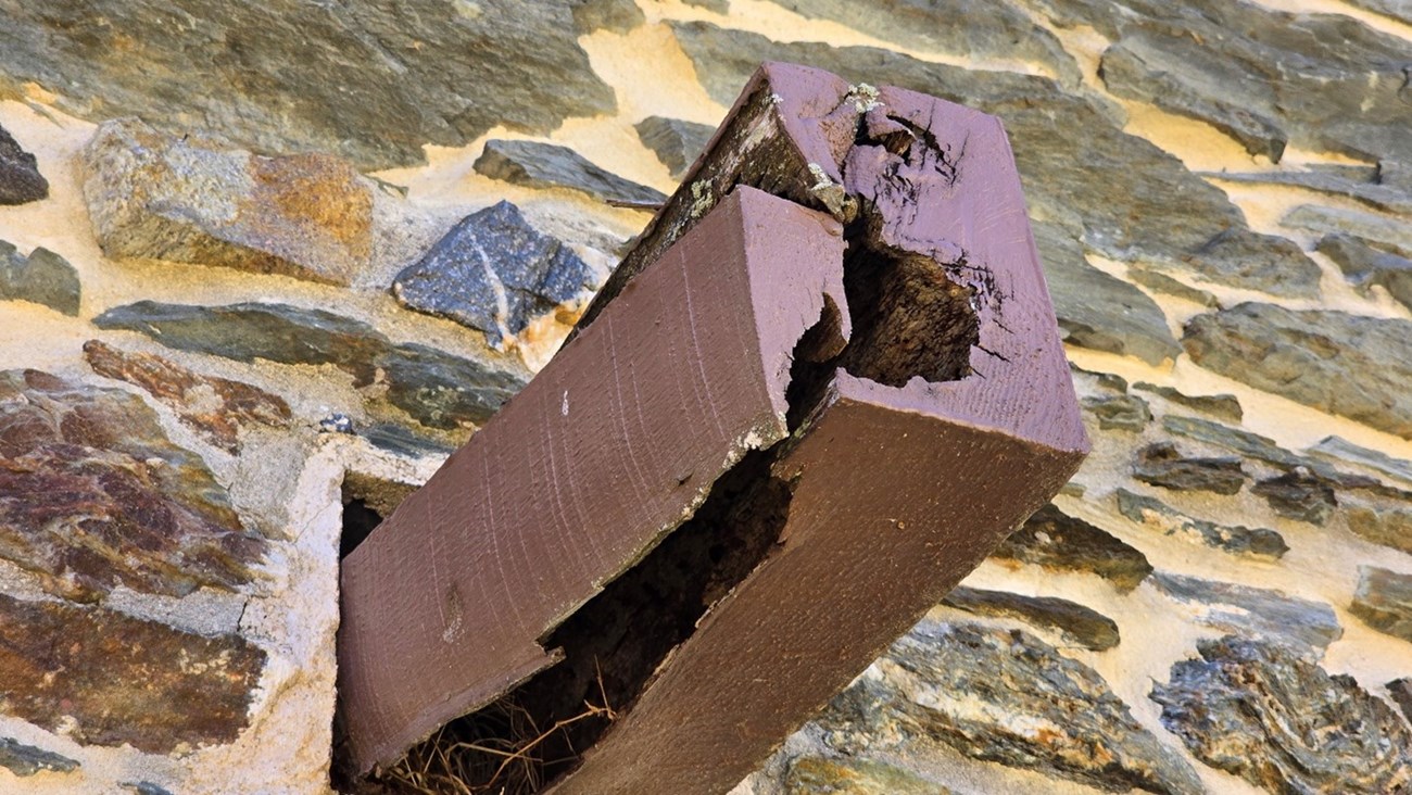 A brown wooden joist that is rotted and broken, sticking out of a stone wall.