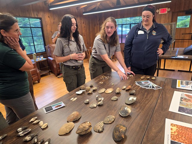 Park staff display mussel shells on a table for visiting supporters inside a rustic lodge.