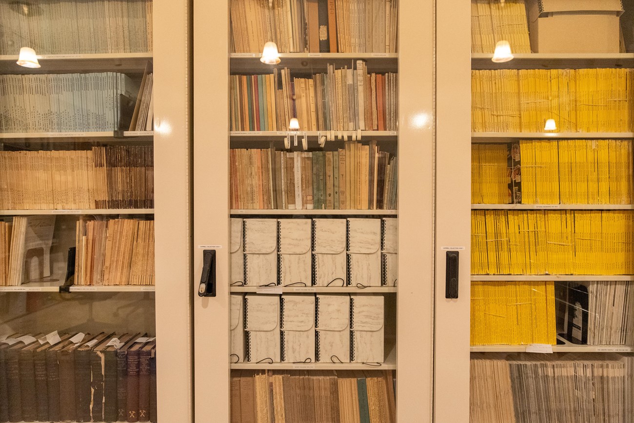 glass cases of library books and resources