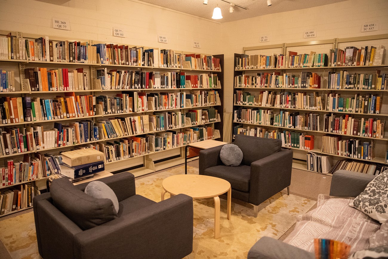 Library Reading Area