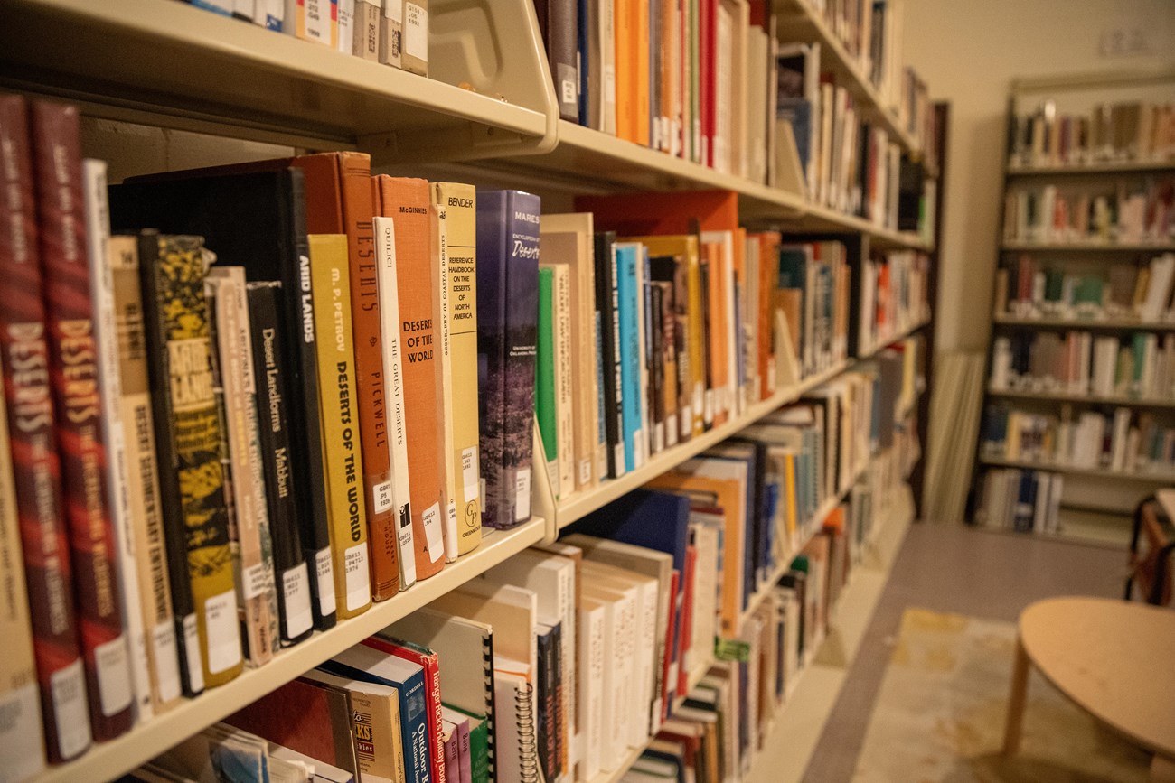 rows of books