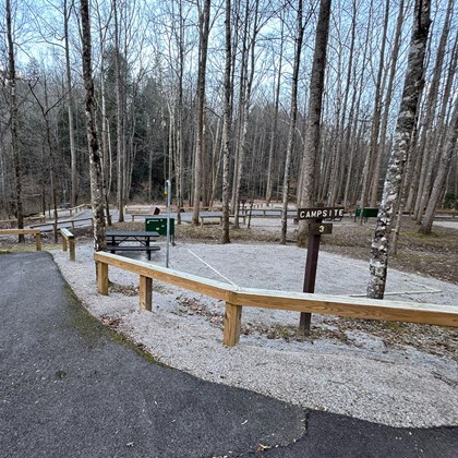 A primitive campground with simple tent pads, picnic tables, and bear-proof storage containers.