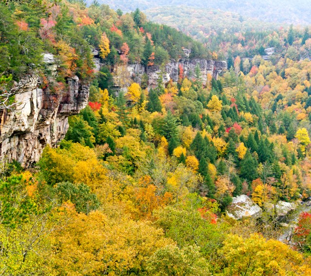 Overlook view of the cliffs with fall foliage.