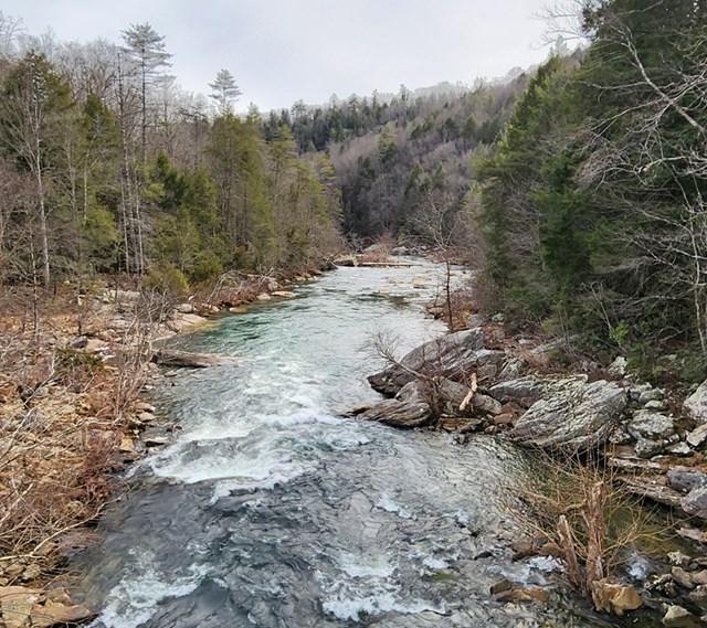 A whitewater stream flows through the center of a forested gorge with rocky shorelines on both sides of the river.