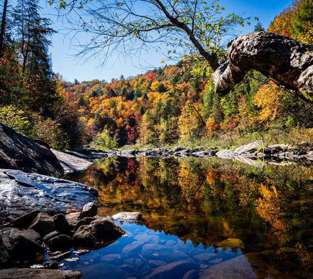 Clear Creek view in the fall.