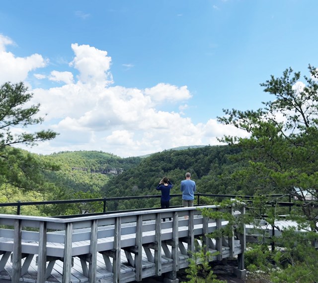 Boardwalk with people standing to view the overlook.