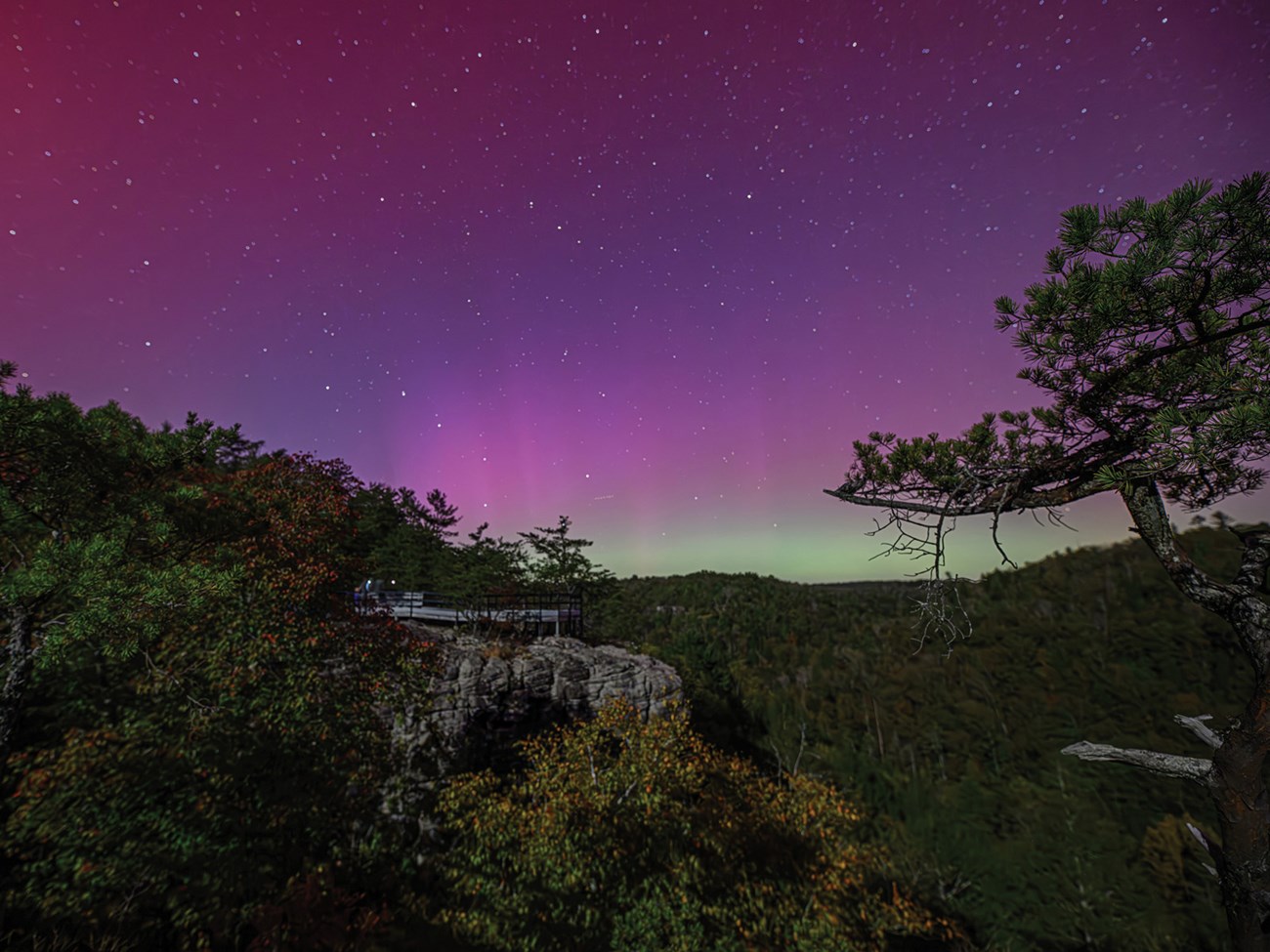 A small rock outcrop, with an overlook that is surrounded by many trees, sits below the night sky.