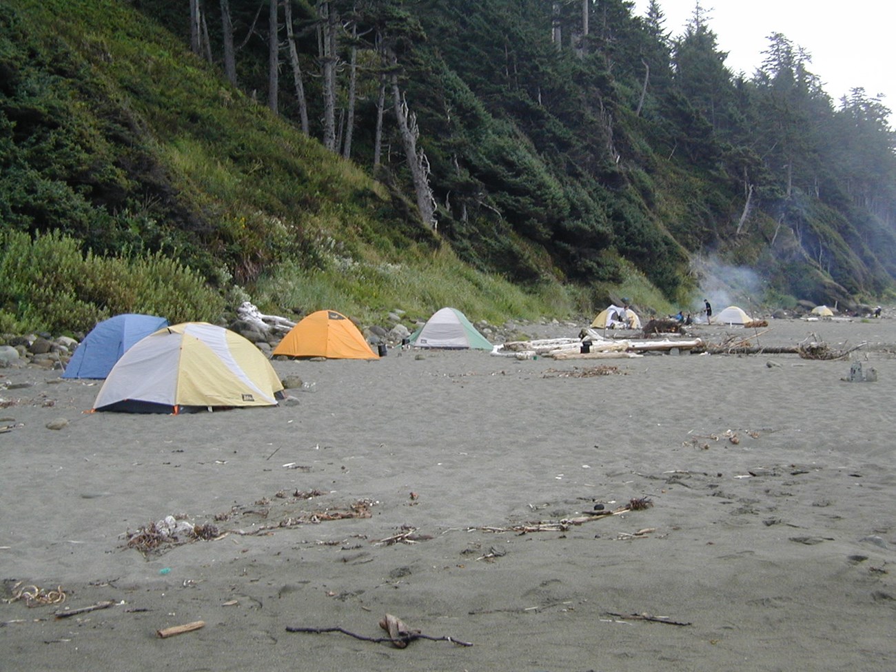 Crowded camping area of tents on the coast.
