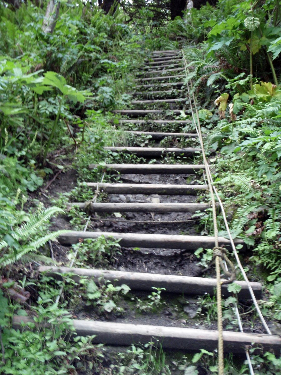 Rope ladder with wooden rungs on the coast.