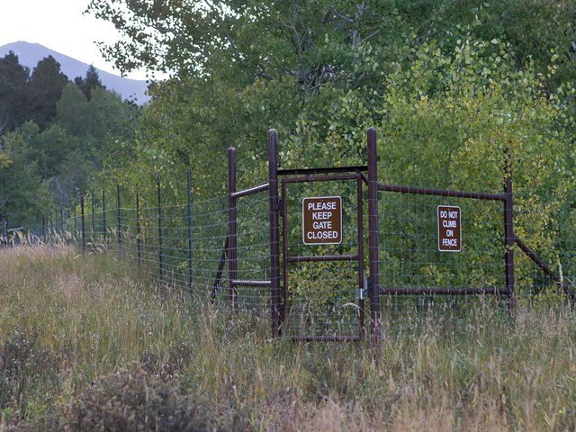 Fence
