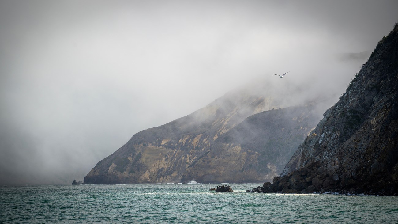 Bluffs rise steeply out of choppy, dark turquoise water, their tops cloaked in fog. A couple of seagulls fly through the scene and a small colony of cormorants appears tiny on a mini island near the base of the nearest bluff.