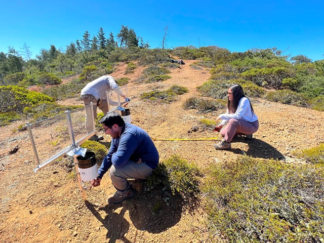 Group of three people on a sunny, shrubby slope, one with a tape measure and the others working on a pair of 