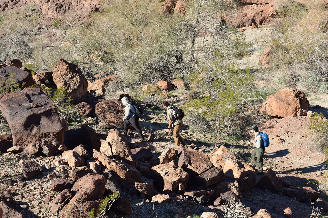 Rangers and a volunteer hiking through rocky terrain.