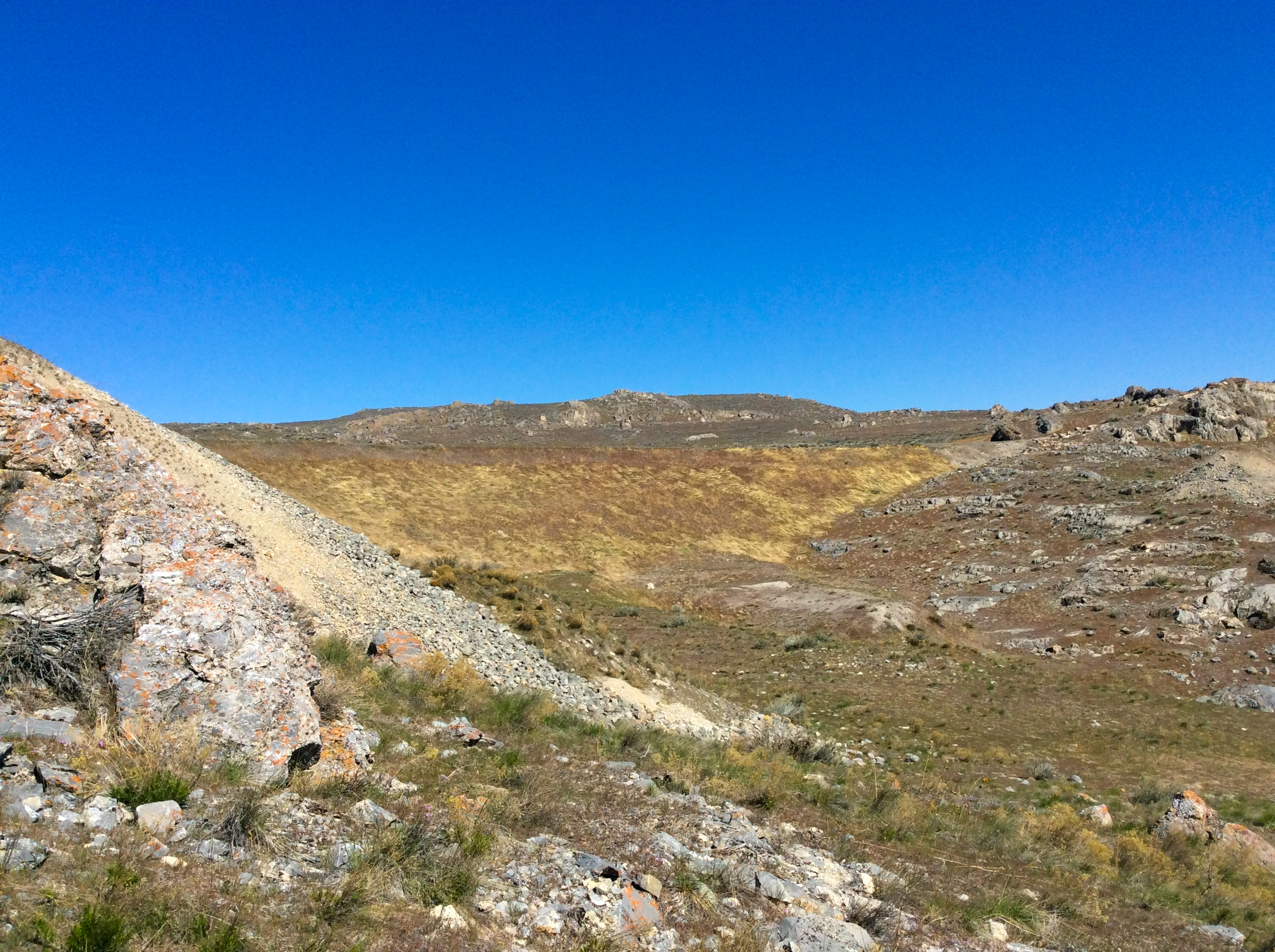 Engine on Great Trestle, 1869