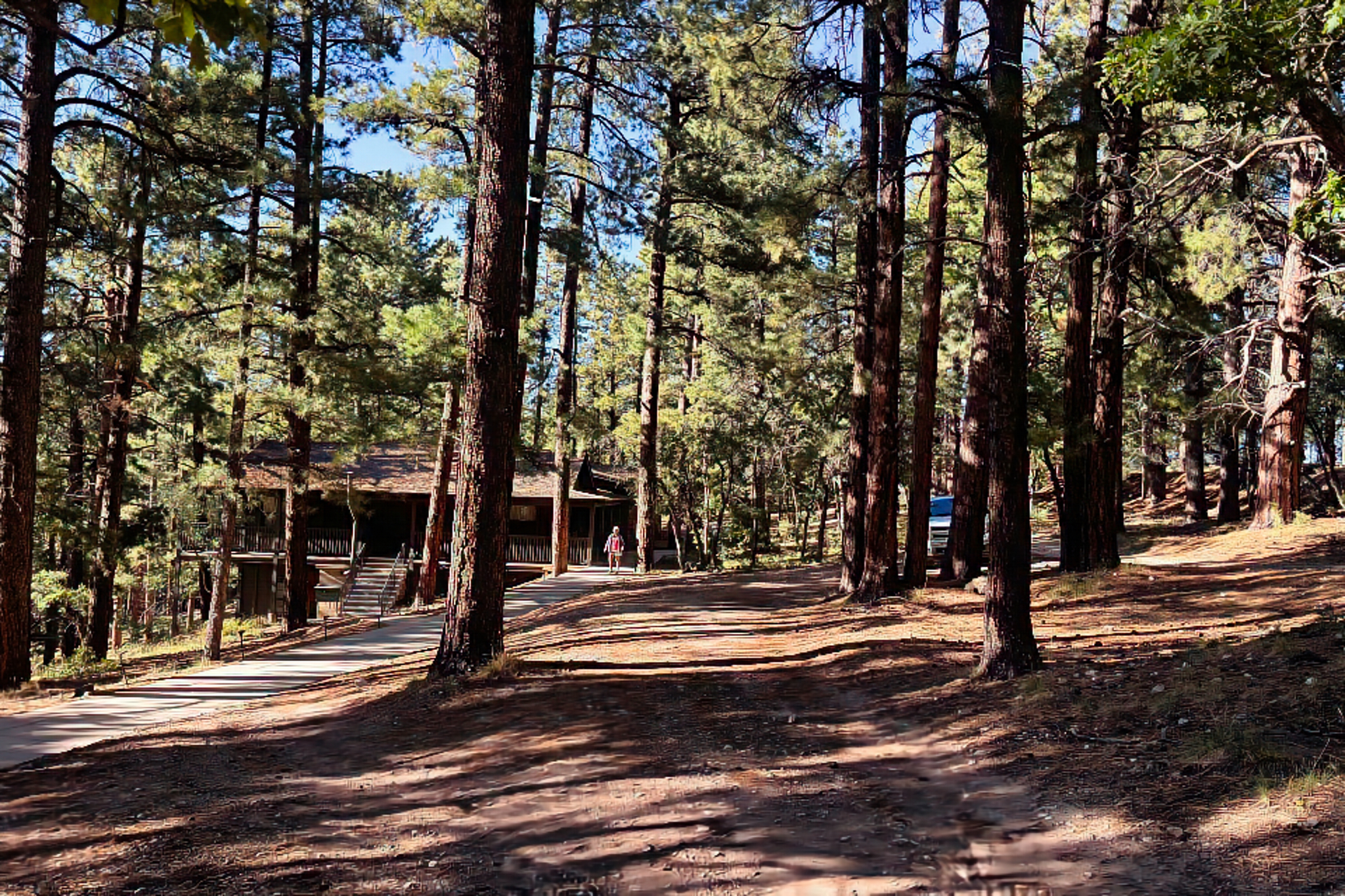 Photo of cabins among trees.