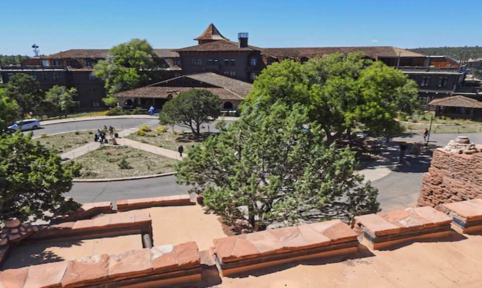 Large building, trees, cars, and people