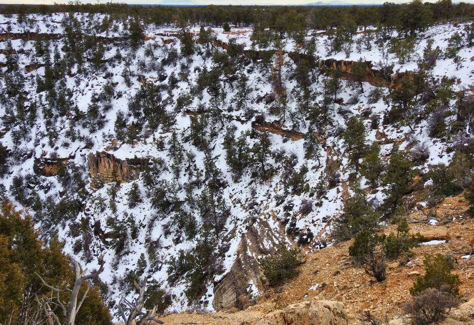Architectural drawing of sloped hotel structure set into steep, rocky hillside