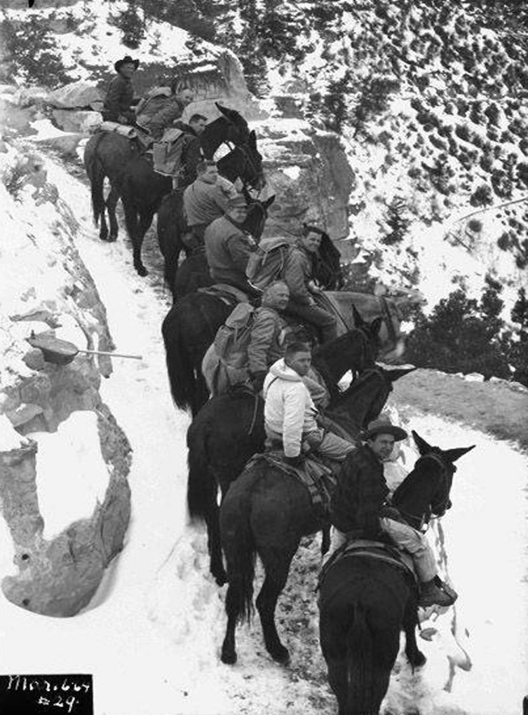 Men on mules ride on snowy trail