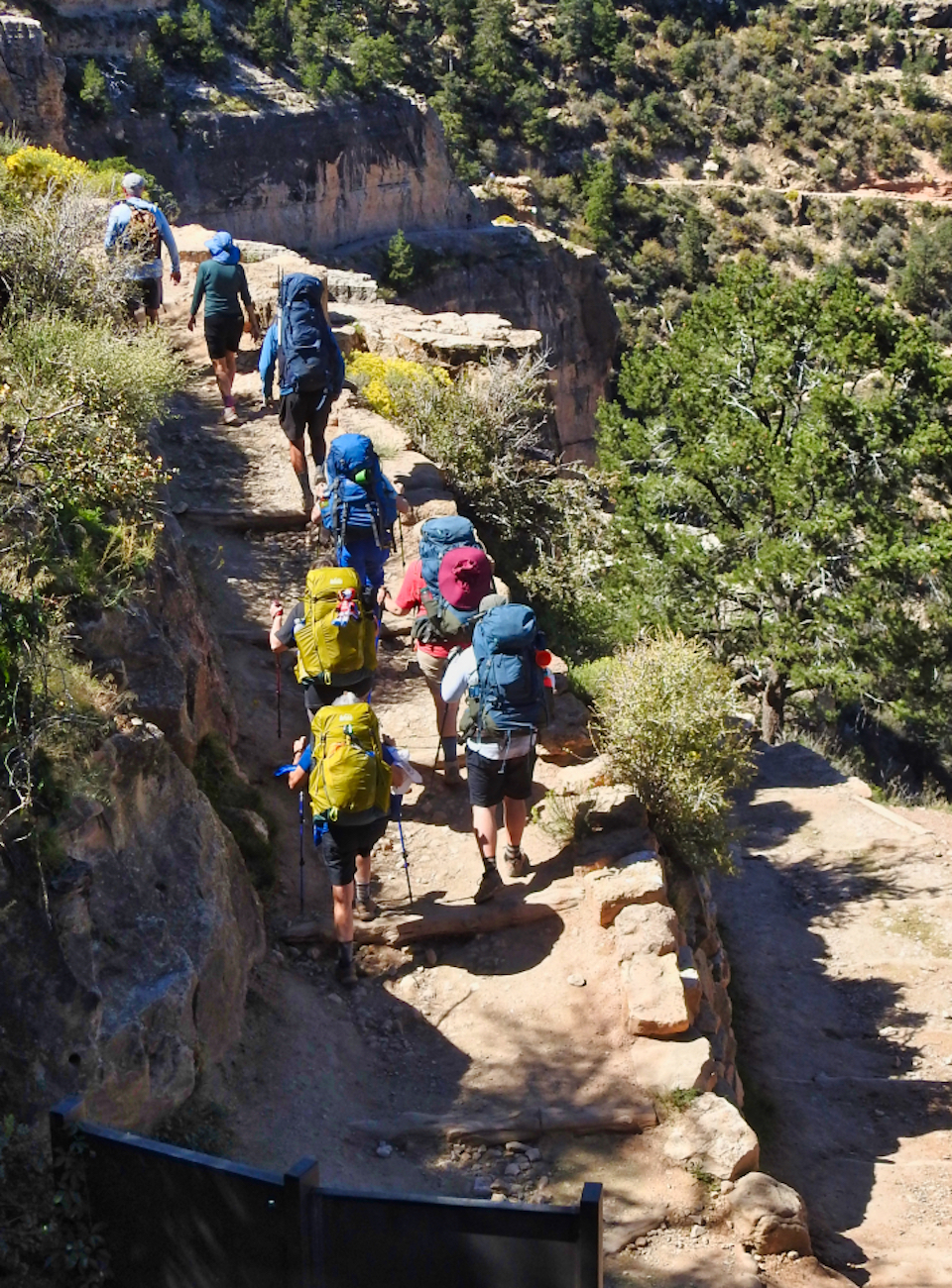 Men on mules ride on snowy trail