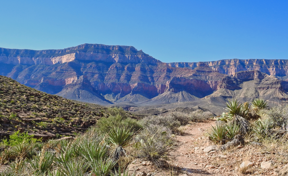 African-American man with shovel on trail with mountains in background