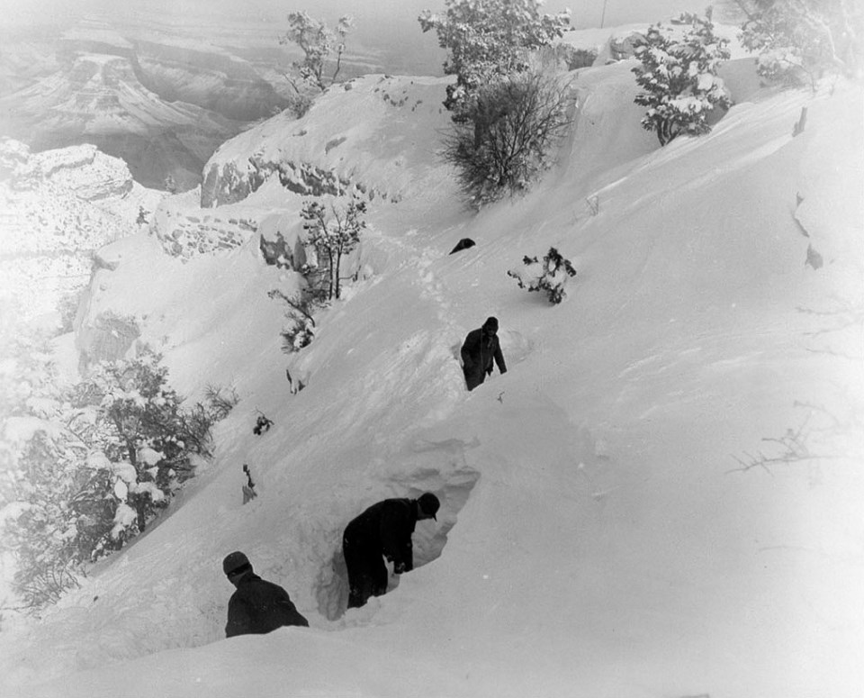 Men shoveling deep snow on slope with trees in background