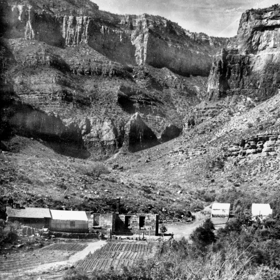 Cabins and a garden with cliffs in background