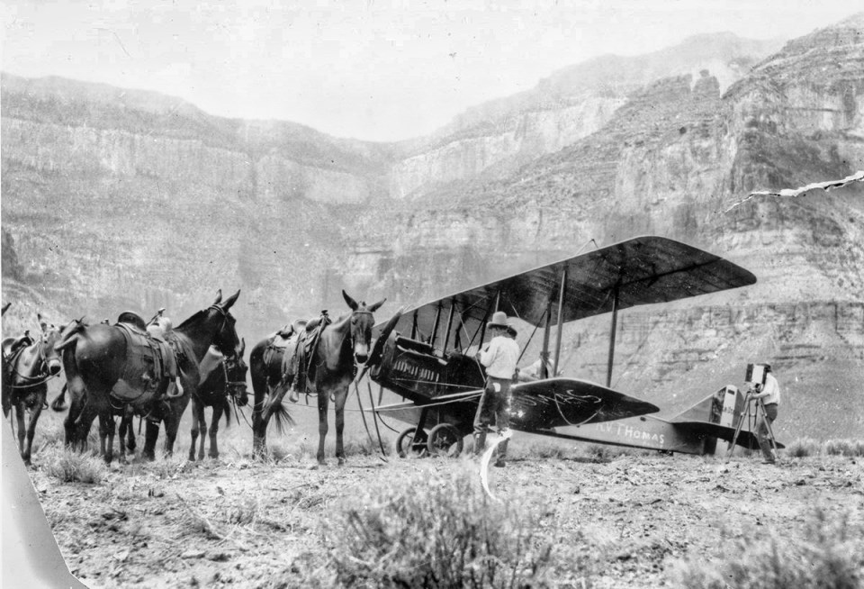 Old airplane on ground next to mules, cliffs in background