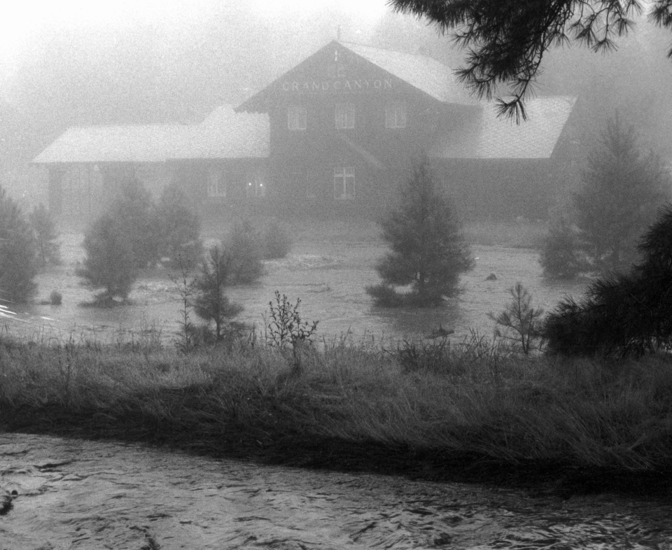 flood water surrounding trees and wooden building
