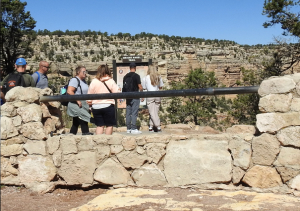 Two mules facing eachother, one has head covered with a tripod and camera in front of it