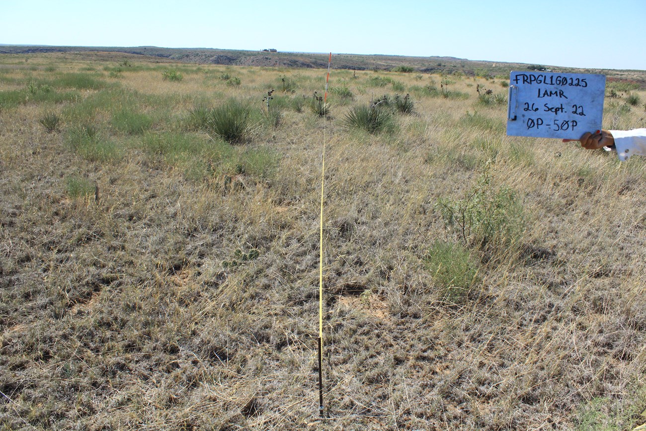 Photo of plot 225 with dead grass and green yucca plants. Fire effects monitor holds a white sign on the right side of the photo with "FRPGL1G0225/ LAMR/ 26 Sept. 22/ 0P-50P" written on the sign.