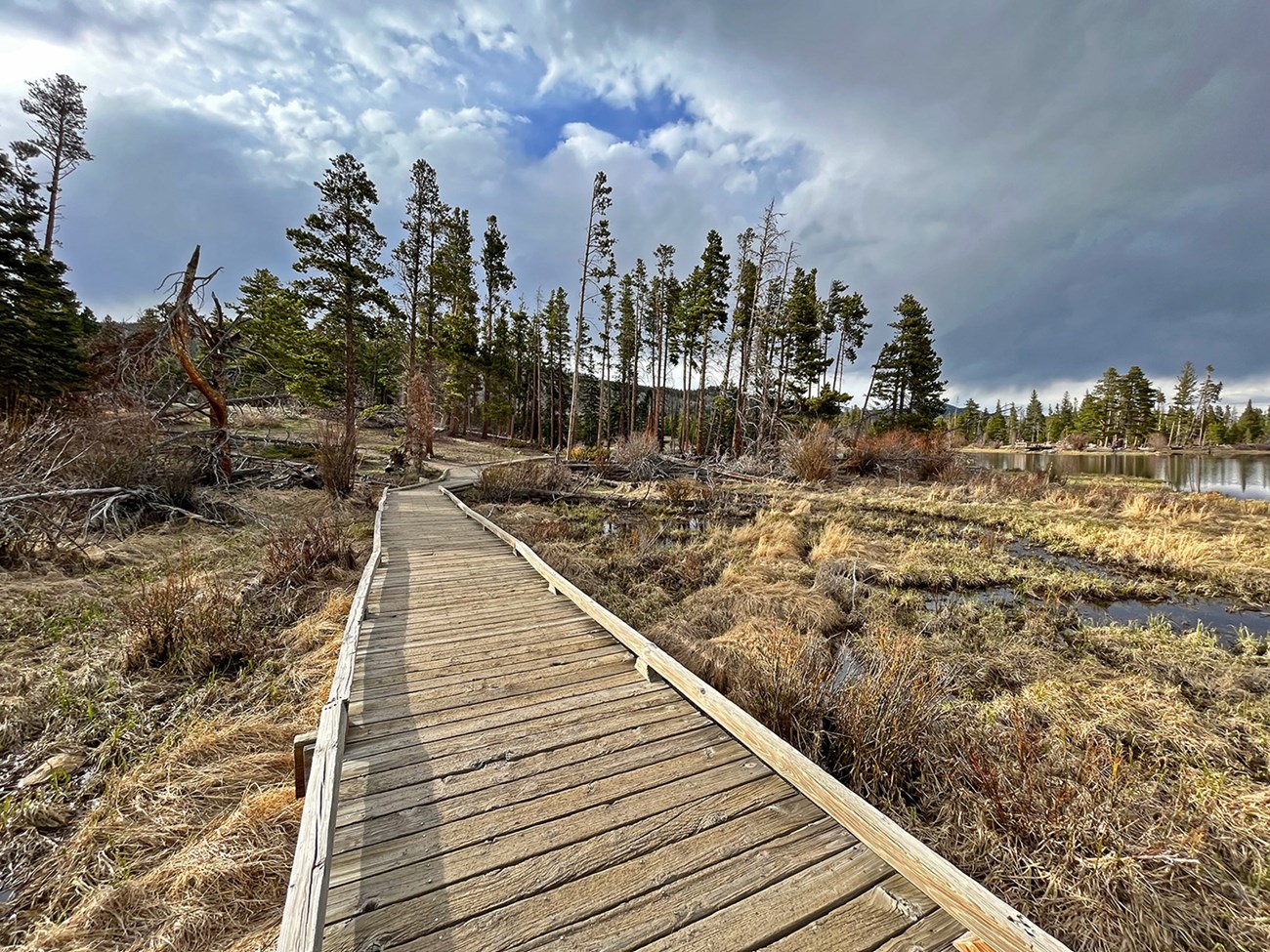 Sprague Lake Boardwalk with narrow wooden boards before the project happened