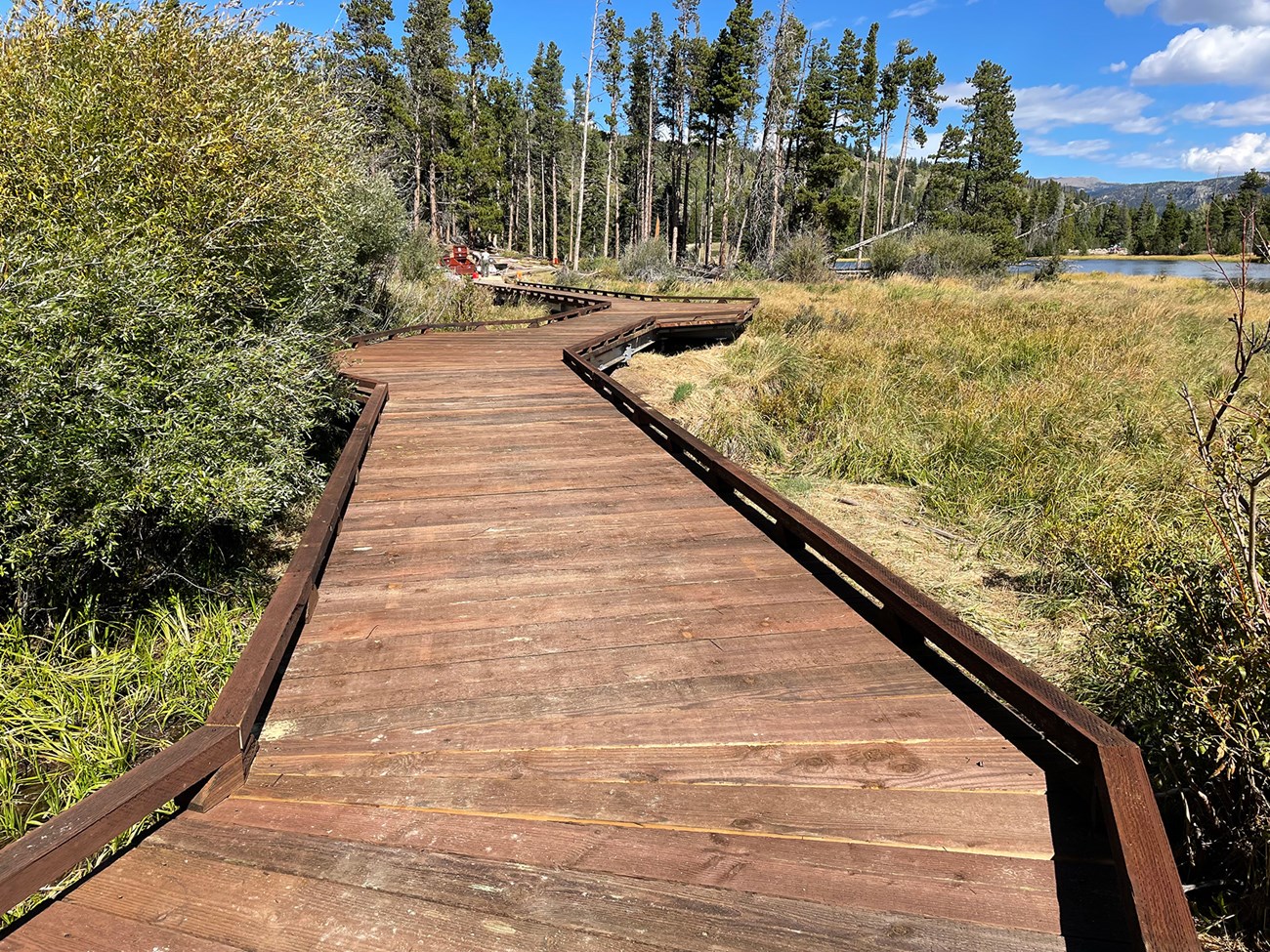 Sprague Lake Boardwalk with narrow wooden boards before the project happened