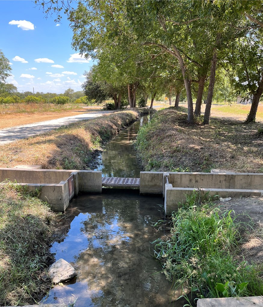 Conservation Corps crew members removing plants from the acequia or irrigation ditch.