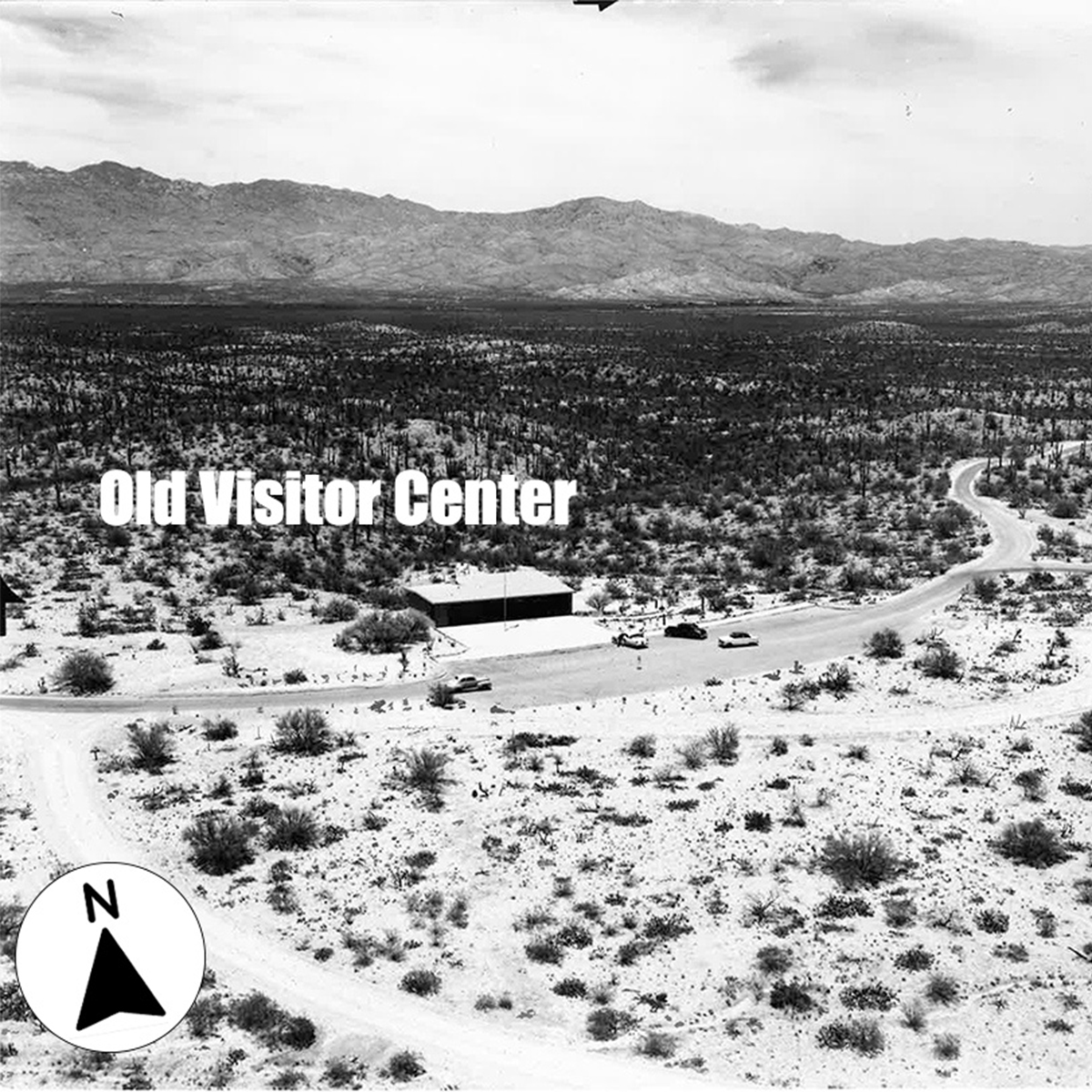 Black & white aerial photo of a historic visitor center pre-60s. A small building sits among a landscape of desert flora. A small direction arrow in the lower left points up for North.