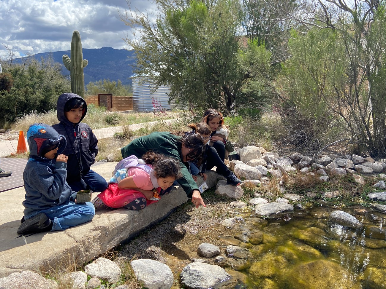 children and a ranger looking closely at shallow stream environment