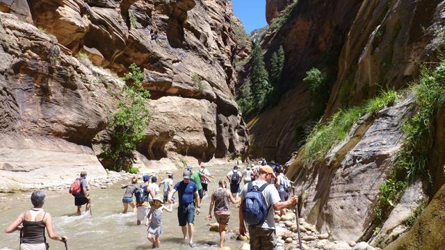 zion narrows