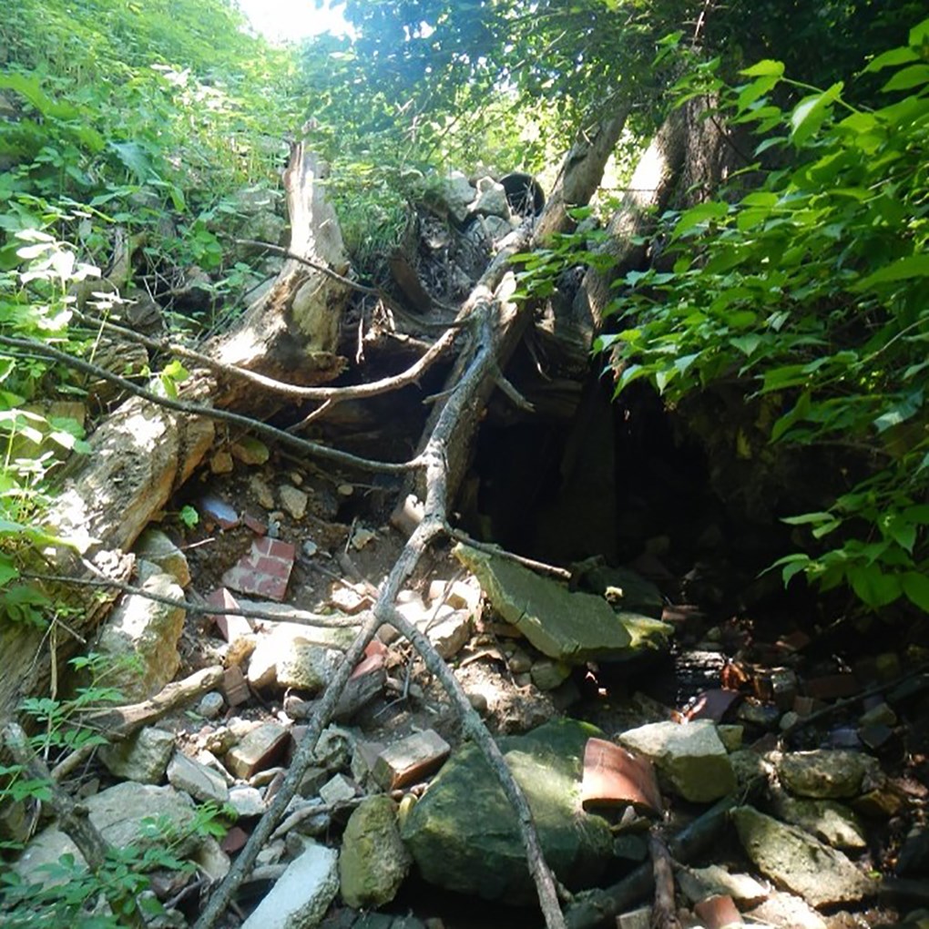 A section of streambed surrounded by green plants; tree branches and pieces of brick and cement litter the area.