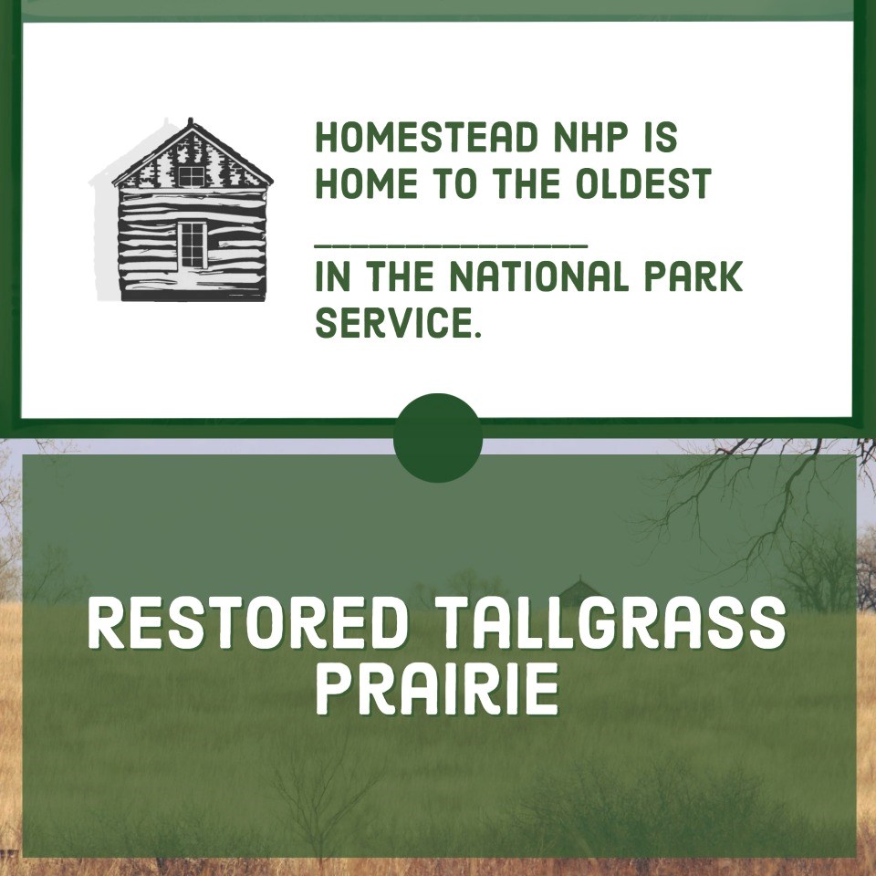 Text Reads, Question: Homestead NHP is home to the oldest ____ in the National Park Service.