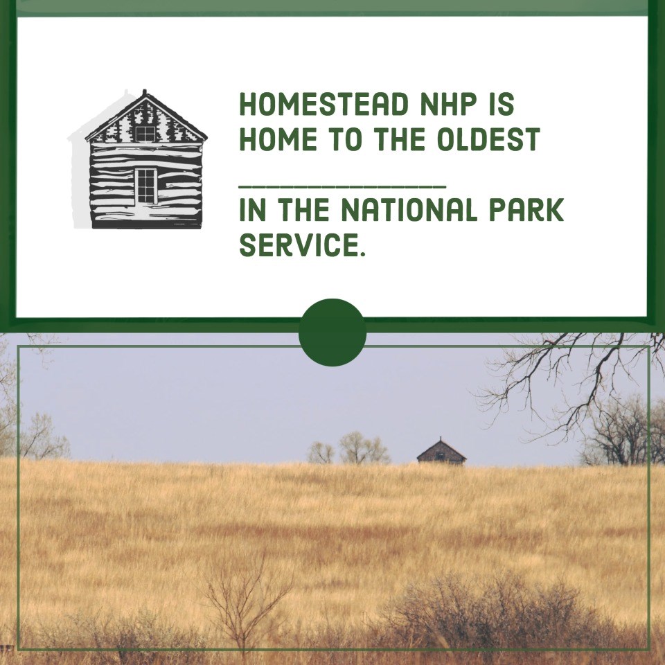 Text Reads, Question: Homestead NHP is home to the oldest ____ in the National Park Service.