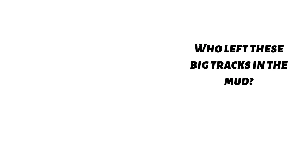 A wolf print in the mud with the words "Hint: I often travel in a pack with others!"