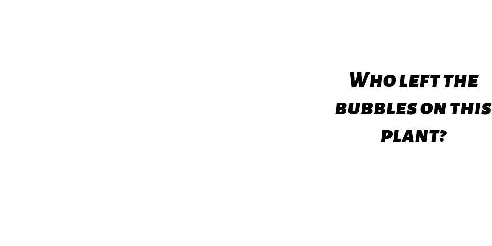 Green grass with covered in spit like bubbles with a tezt box reading, "Hint: It is unlikely you have seen me, I am very tiny!